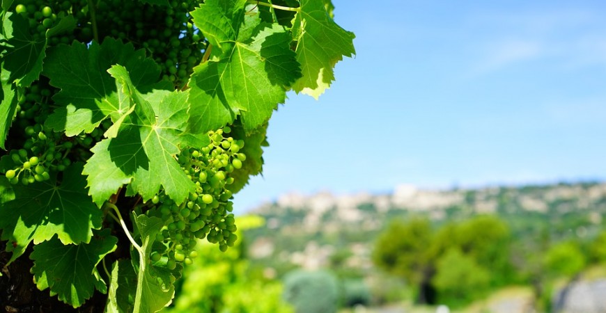 Expédition de vos commandes durant la période estivale 